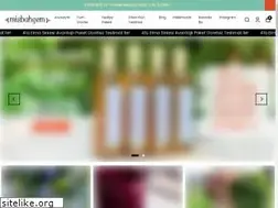 Sites similar to misbahcem.com
