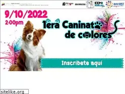 Sites similar to misionnevado.gob.ve