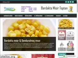 Sites similar to misiristan.com