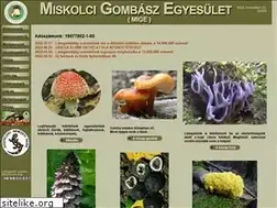 Sites similar to miskolcigombasz.hu