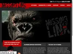 Sites similar to missinglinkmma.com