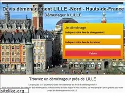 Sites similar to mister-demenagement-lille.com