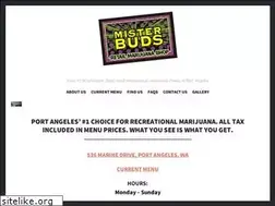 Sites similar to misterbuds.buzz