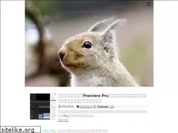 Sites similar to mistercreativesquirrel.com