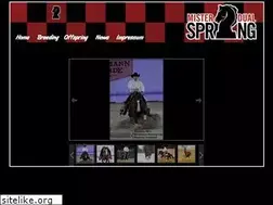 Sites similar to misterdualspring.com