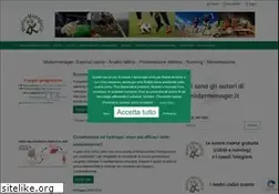 Sites similar to mistermanager.it