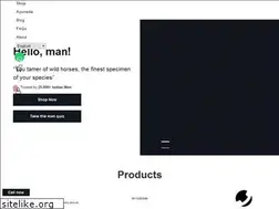 Sites similar to misters.in