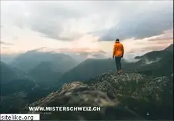 Sites similar to misterschweiz.ch
