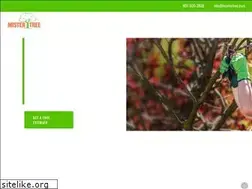 Sites similar to mistertreeservice.com