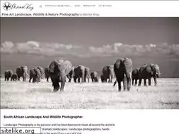 Sites similar to mitchellkrog.com