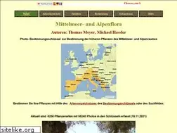 Sites similar to mittelmeerflora.de