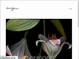 Sites similar to mixedgreensevents.com