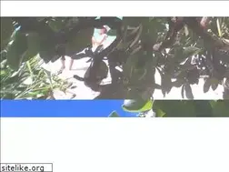 Sites similar to miyakojima-feenukaji.com