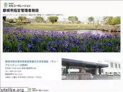 Sites similar to miyakonojo-bunka.jp
