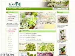 Sites similar to miyamaen-shop.jp