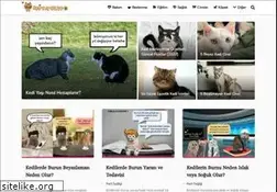 Sites similar to miyavliyo.com
