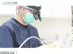 Sites similar to miyazakishika.com