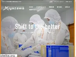 Sites similar to miyazawa-inc.com