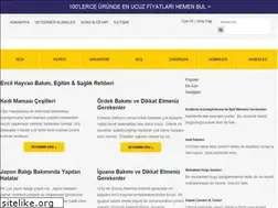 Sites similar to miyhav.com