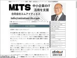 Sites similar to mizutani-its.com