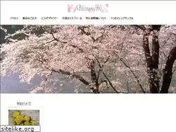 Sites similar to mizuuchi.co.jp