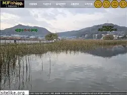 Sites similar to mjjf.co.kr