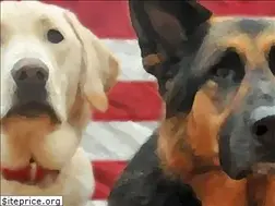 Sites similar to mk9servicedogs.org
