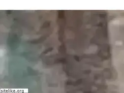 Sites similar to mknassociates.us