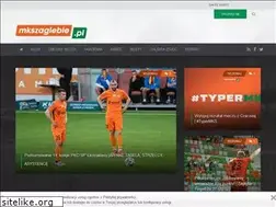 Sites similar to mkszaglebie.pl