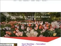 Sites similar to mlnpc.com