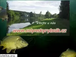 Sites similar to mlynskyrybnik.cz