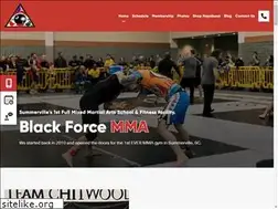 Sites similar to mmacharlestonsc.com
