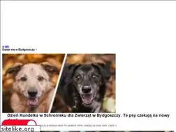 Sites similar to mmbydgoszcz.pl