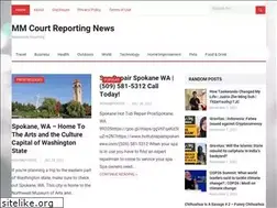 Sites similar to mmcourtreporters.com