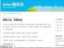 Sites similar to mmet.cn