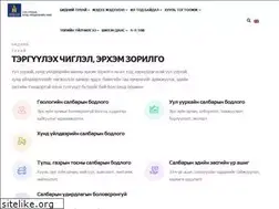 Sites similar to mmhi.gov.mn