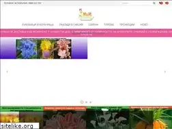 Sites similar to mmtrbg.com