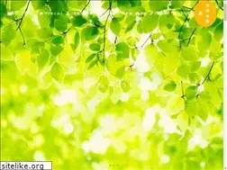 Sites similar to mnbya.com