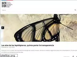 Sites similar to mnhn.cl