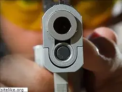 Sites similar to mnpistolclass.com