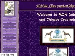 Sites similar to moadobes.com