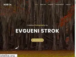 Sites similar to mob.ca