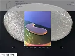 Sites similar to mobilabgallery.ch