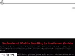 Sites similar to mobile-detail.com