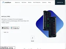 Sites similar to mobillium.com
