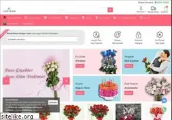 Sites similar to modacicek.com