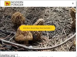 Sites similar to modern-forager.com