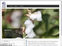 Sites similar to modernnile.com