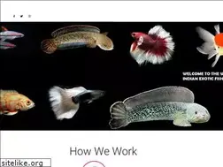 Sites similar to modernpetcentre.in