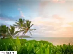 Sites similar to modnayaobuvru.ru